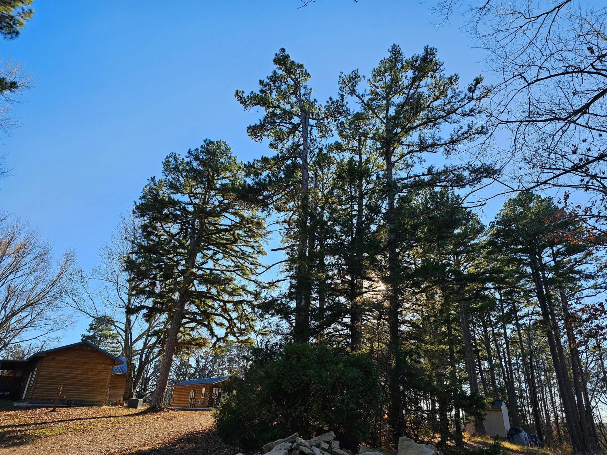 5 Min To Beaver Lake-King Bed-Fire Pit-Jetted Tub #3 Eureka Springs Dış mekan fotoğraf